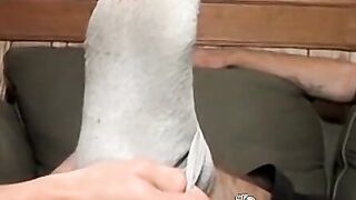 Tattoed straught guy Chain body worshipped by twink Marke