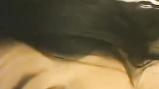 Cherrokee Shows Off Her Penis Sucking Off Skillz - Cherrokee Shows Off Her Penis Blowing Talent two