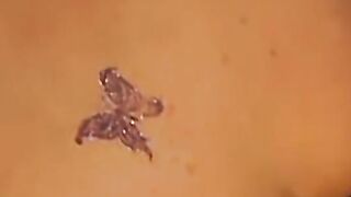 Sexsual Little Nymph - Sexual Little Nymph two