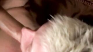 Amateur blonde jock bareback riding big cock after mutual BJ