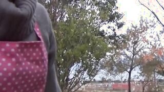 Playful Japanese babe takes it balls deep in her hairy pussy
