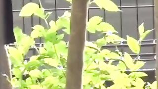 Panties become really wet after Japanese babe pisses herself