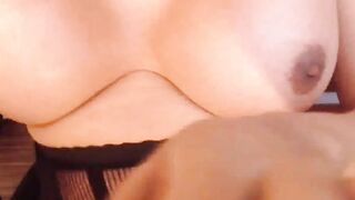 Big tits shemale in stockings jerks off