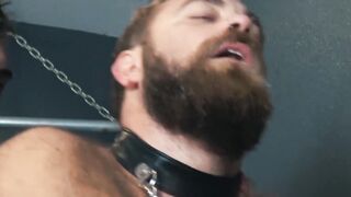 Hairy hunks have hardcore bareback after nipple licking BJ