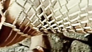 Retro gay porn horny muscle men big cock sucking sixtynine