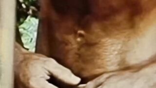 Retro gay porn horny muscle men big cock sucking sixtynine