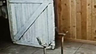 Vintage bareback doggystyle pounding after hot blowjobs