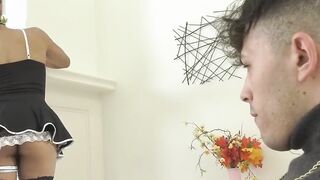 Colored hair shemales fuck males in mixed scenes