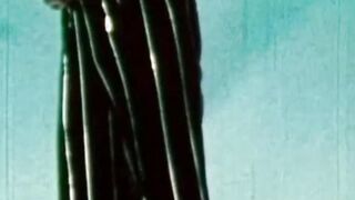 Hairy vintage muscle gay studs deepthroat and fuck raw