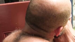 Hairy mature dude raw fucking the hell out of bald gay