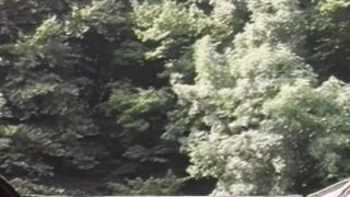Gays sucking and fucking at country cabin