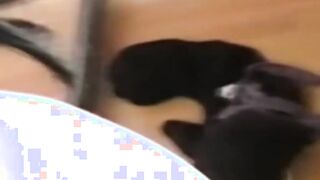 English woman is reality porn star after being deceived