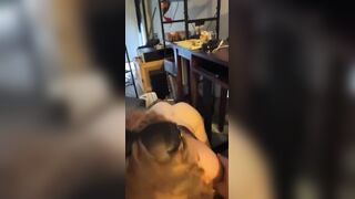 Redhead Slut Deepthroat Blowjob