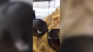 Redhead Slut Deepthroat Blowjob