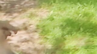 Thick cock jock sucked off in passionate outdoor encounter