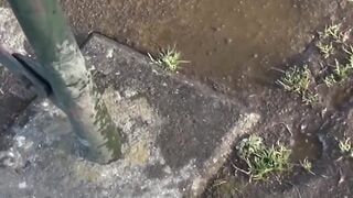 Debaucherous Japanese schoolgirls filmed pissing in public
