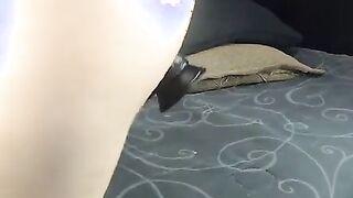 Petite Babe dildoing her tight ass with dildo
