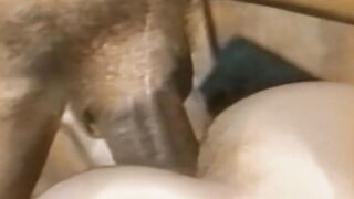 Hung young students swap head and fuck hard in the jacuzzi