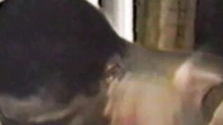 Hot muscular jocks tease and jerk off their rock hard cocks