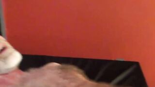 Bald hunk Jake Mitchell bareback hard pounded tattooed gay