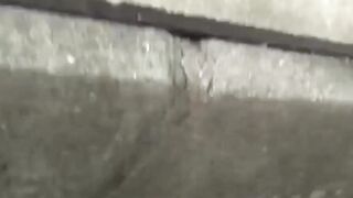Youthful Japanese angels covertly peeing all over town