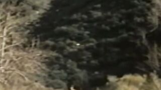 Studs dick sucking and uncovered banging by the stream