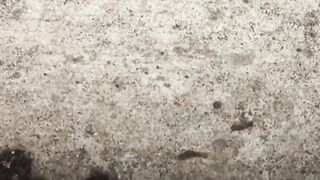 Debaucherous Asian student peeing hard out in the open