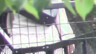 Japanese ladies secretly taped as they are pissing