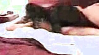 Ashely Hunter Vintage Tranny