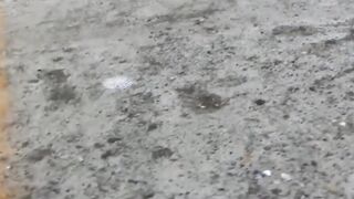 Wicked Japanese angels have no issues peeing openly