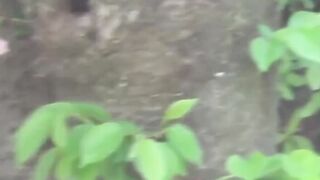 Wicked Japanese angels have no issues peeing openly