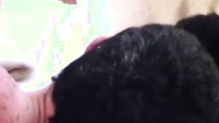 Delicious Asian twinks deeply dicked by jizz blasting daddy