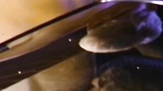 Attractive gay poop hole nailed from behind by hunk