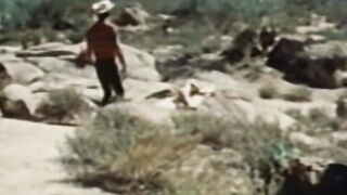 Vintage gays lick balls after throatfuck sixtynine in desert