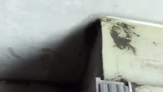 Japanese babes feel embarrassed as they are caught peeing