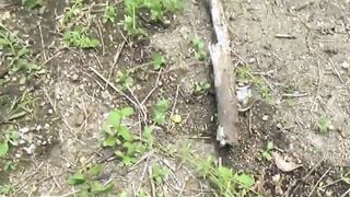 Japanese lady finds a secluded place to pee in public space