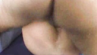 Exotic Shemale Tranny Hardcore