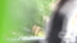 Attractive Japanese darlings give substantial gold