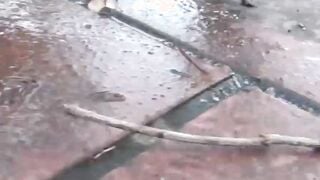 Japanese women are afraid they will be caught while pissing