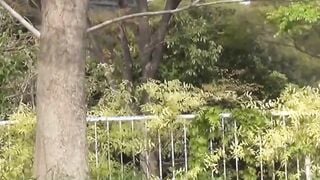 Japanese women are afraid they will be caught while pissing