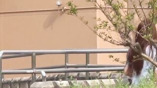 Japanese women are afraid they will be caught while pissing