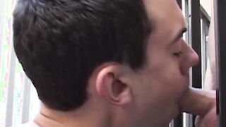 Gay twinks are sucking massive cocks and expect facial cum