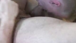 Blonde amateur threeway barebacked 1st time spitroast
