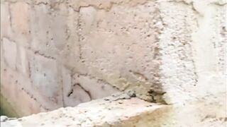 HE CAUGHT ME AND MY SIN SISTERZ INTO THE BUSH TRACK COMING BACK FROM THE NEXT VILLAGE AND HE PARADE US TO AN UNCOMPLETED BUILDING AND BANGED! US BLACK GIFT