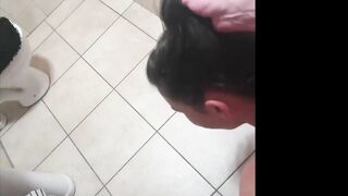 Human bathroom blows cock and gets pissed on over the WC
