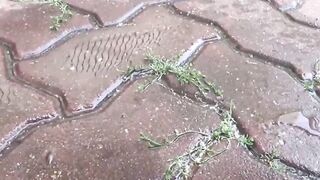 Japanese amateur babes pissing all around the city
