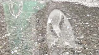 Japanese babes taped peeing in public places
