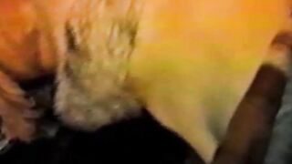 Horny vintage jock sucks off strangers big cock deepthroat