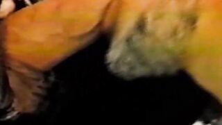 Horny vintage jock sucks off strangers big cock deepthroat