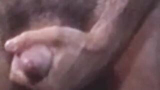 adorably retro gays petting their hairy cocks and cums